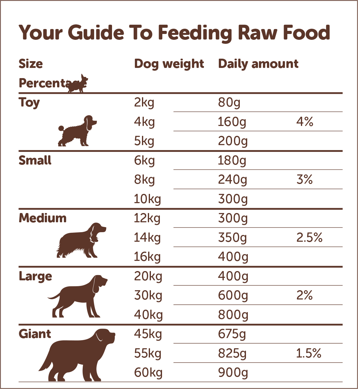 What Is A Good Feeding Schedule For Dogs